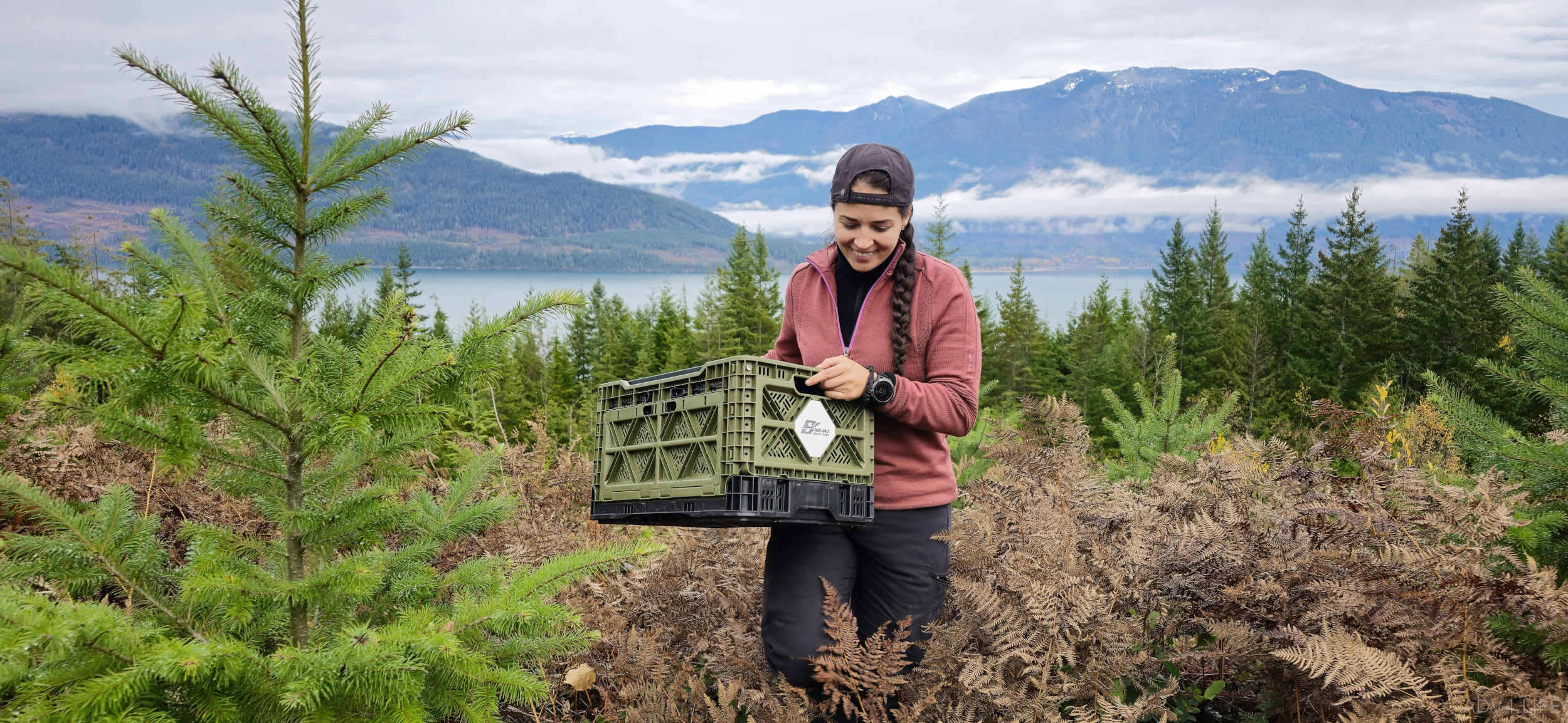 BIGANT Smart Crate Honest Review - Adventure 4 Life
